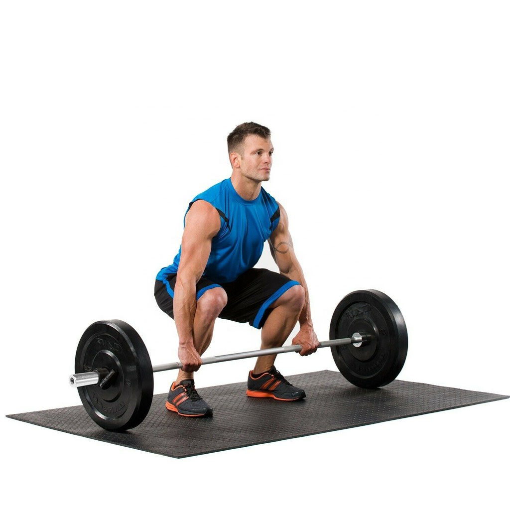 MND-WG079 Electroplated bar for men bearing capacity of 750 pound - Image 2